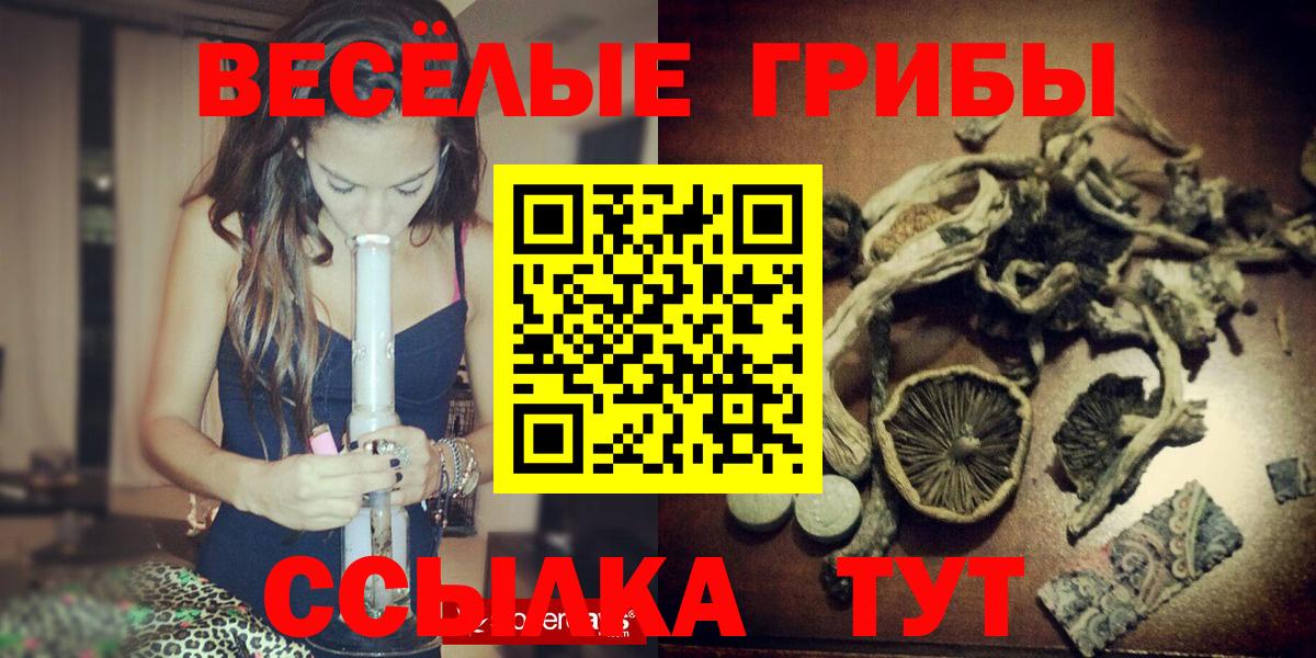 Псилоцибиновые грибы Cubensis Домодедово