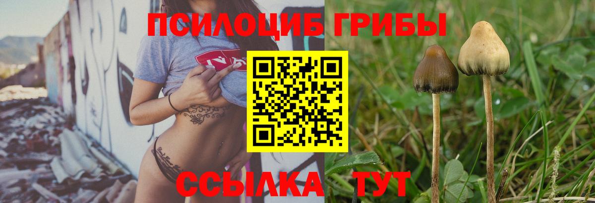Домодедово  Псилоцибиновые грибы мухоморы  Вход с VPN 